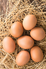 Fresh raw brown eggs on hay, photographed overhead (Selective Focus, Focus on the top of the eggs)