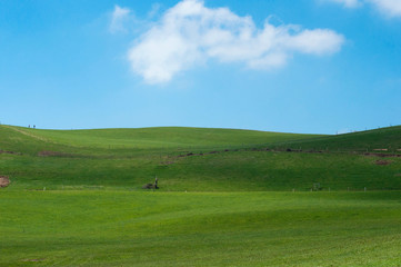 Fototapeta na wymiar Hill with green grass and a blue sky at horizon.