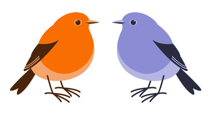 bird plumbeous water redstart,vector illustration,flat style,set