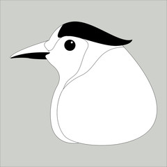 rainbow jay head, vector illustratione,lining draw