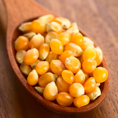 Yellow raw popcorn kernels on wooden spoon, photographed with natural light (Selective Focus, Focus one third into the kernels)