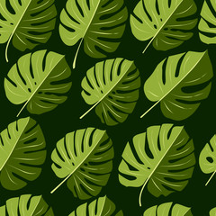 Fototapeta premium Seamless monstera pattern. Monstera background. Hand drawn pattern. Monstera leaves. Jungle pattern. Summer. Jungle