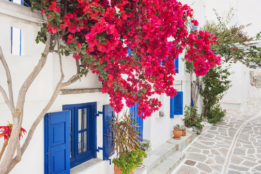 Traditional greek house with flowers in Paros island, Cyclades, Greece