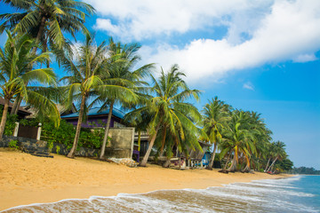 Samui MaeNam morning beach with coconut palms under sky. Happy vacation, relaxation, idyllic landscape