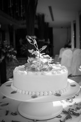 Wedding Cake with Orchids