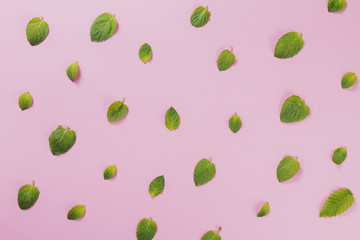 Pink background with green leaves