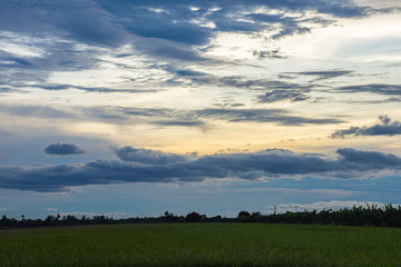 The reflection of the Sun in the evening  and the clouds on the sky with Shadow trees in paddy fields.