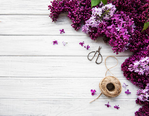 Lilac spring flowers border