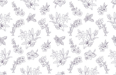 Lily pattern, floral ornament, toile de jouy. Seamless background. Hand drawn illustration in vintage style