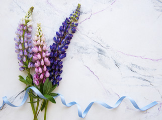 Pink and purple lupine flowers border