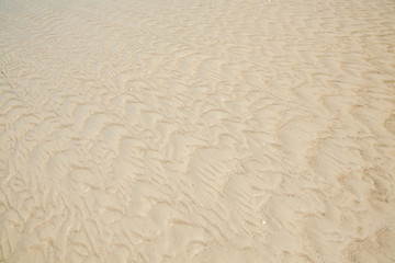 sand texture and background