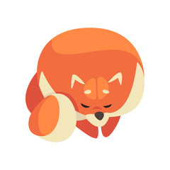 Cute Sleeping Pomeranian Spitz, Funny Pet Dog Cartoon Character Vector Illustration