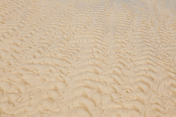 sand texture and background