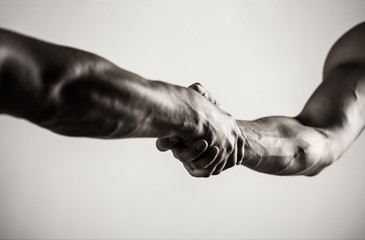 Two hands, isolated arm, helping hand of a friend. Handshake, arms. Friendly handshake, friends greeting. Teamwork and friendship. Closeup. Rescue, helping gesture or hands. Concept of salvation.