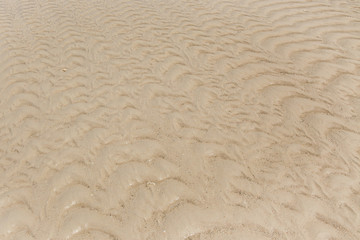 sand texture and background