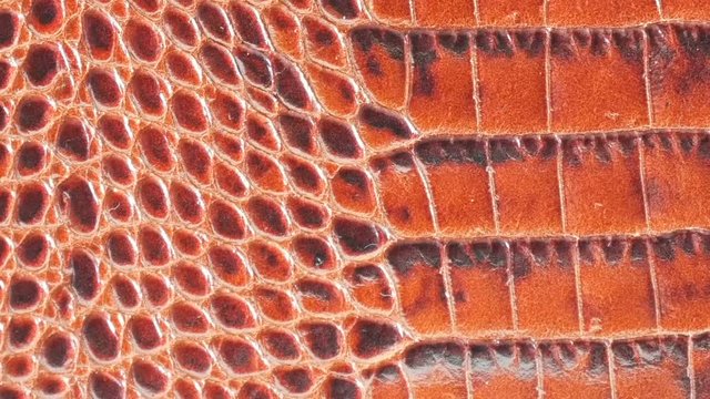 crocodile leather brown background, python texture	