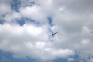 Cloud on background sky