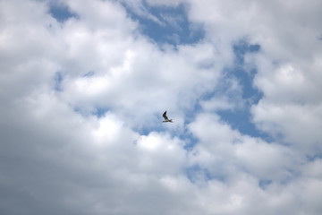 Cloud on background sky