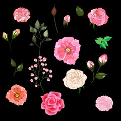 Vector set of isolated Rose buds with leaves. Handmade watercolor style illustration of flowers. Beautiful realistic vector elements for invitation, wedding or greeting cards