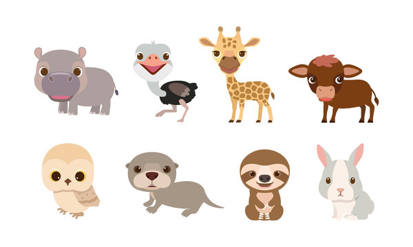 Vector cute animals series, Hippo, giraffe, ostrich, owl, Otter and the sloth on the white background