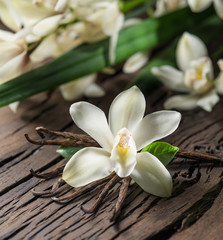 Dried vanilla sticks and vanilla orchid on wooden table.