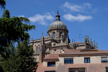 Obraz premium Catedrales y monumentos religiosos de Salamanca, España.