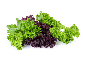Red and green lettuce leaves on a white background
