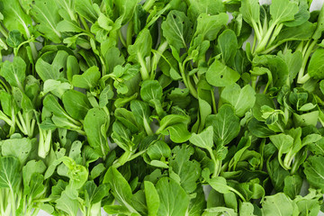 Closeup of fresh organic bok choy (Chinese cabbage)