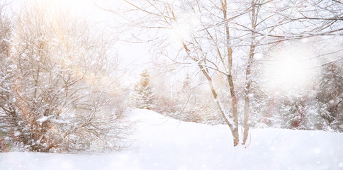 Winter Park. Landscape in snowy weather. January.