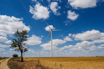 Visi&oacute;n de los campos de Castilla, tierra de campos, desde Pe&ntilde;aflor de Honija (Valladolid)