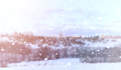 Winter landscape snow covered expanses. A park in the winter in the snow. Road on a winter day.