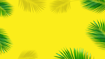 Fototapeta na wymiar Summer composition. Tropical palm leaves on yellow background. Summer concept.