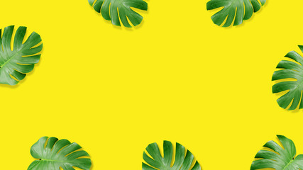 summer tropical leaf Flat lay composition.