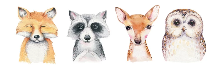 Foto op Plexiglas Aquarel set bos cartoon geïsoleerde schattige baby fox, herten, wasbeer en uil dier met bloemen. Kwekerij bos illustratie. Boheemse boho-tekening voor kinderkamerposter, patroon © kris_art