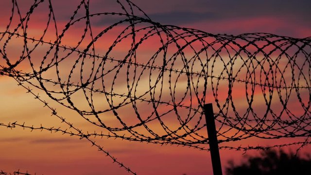 The fence of the correctional facility with barbed wire on the background of a cloudy red-blue sky. Sunset time.