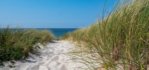 Fototapeta na wymiar Panorama Dünenlandschaft auf Sylt an der Nordsee