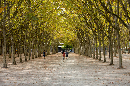 Public garden along Place des Quinconces, Bordeaux France, with a canopy of green trees.