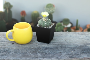 cup of tea on wooden table