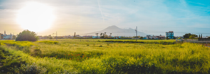 Panorama over a lush green field at sunset