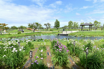 水郷佐原水生植物園