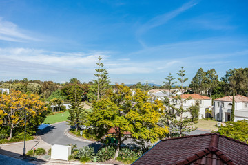 View of a Skyline Including Trees and Houses