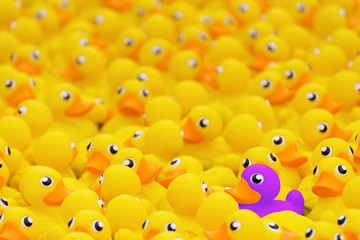 Naklejka premium yellow toy duck floating in swimming pool