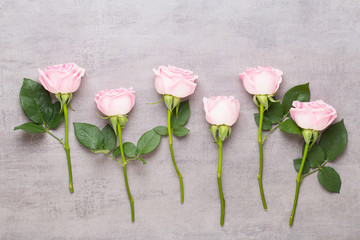 Obraz premium Flowers valentine day composition. Frame made of pink rose on gray background. Flat lay, top view, copy space.