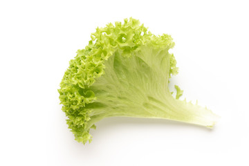 Salad leaves on white background.