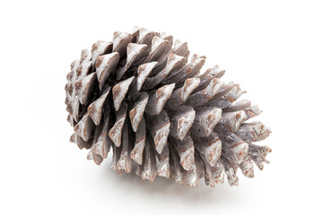 Christmas pine cone on white background.