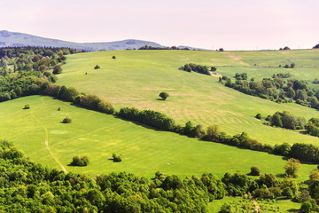 Obraz premium Beautiful summer landscape with colorful mixed forest around Zitkova village, White Carpathians, wood diversity, water retention concept, Czech Republic, sunny summer day, clear blue sky, copy space