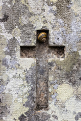 Snail inside now a cross