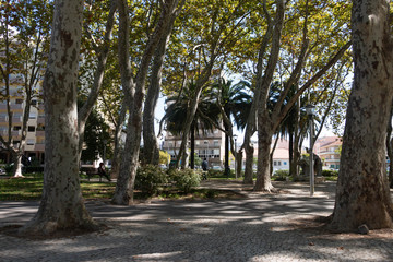 Fototapeta na wymiar Paisagem no parque