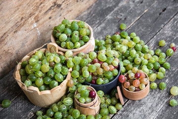 Fresh gooseberries  original bowls