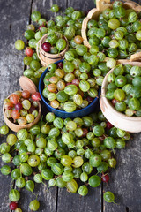 Fresh gooseberries  original bowls